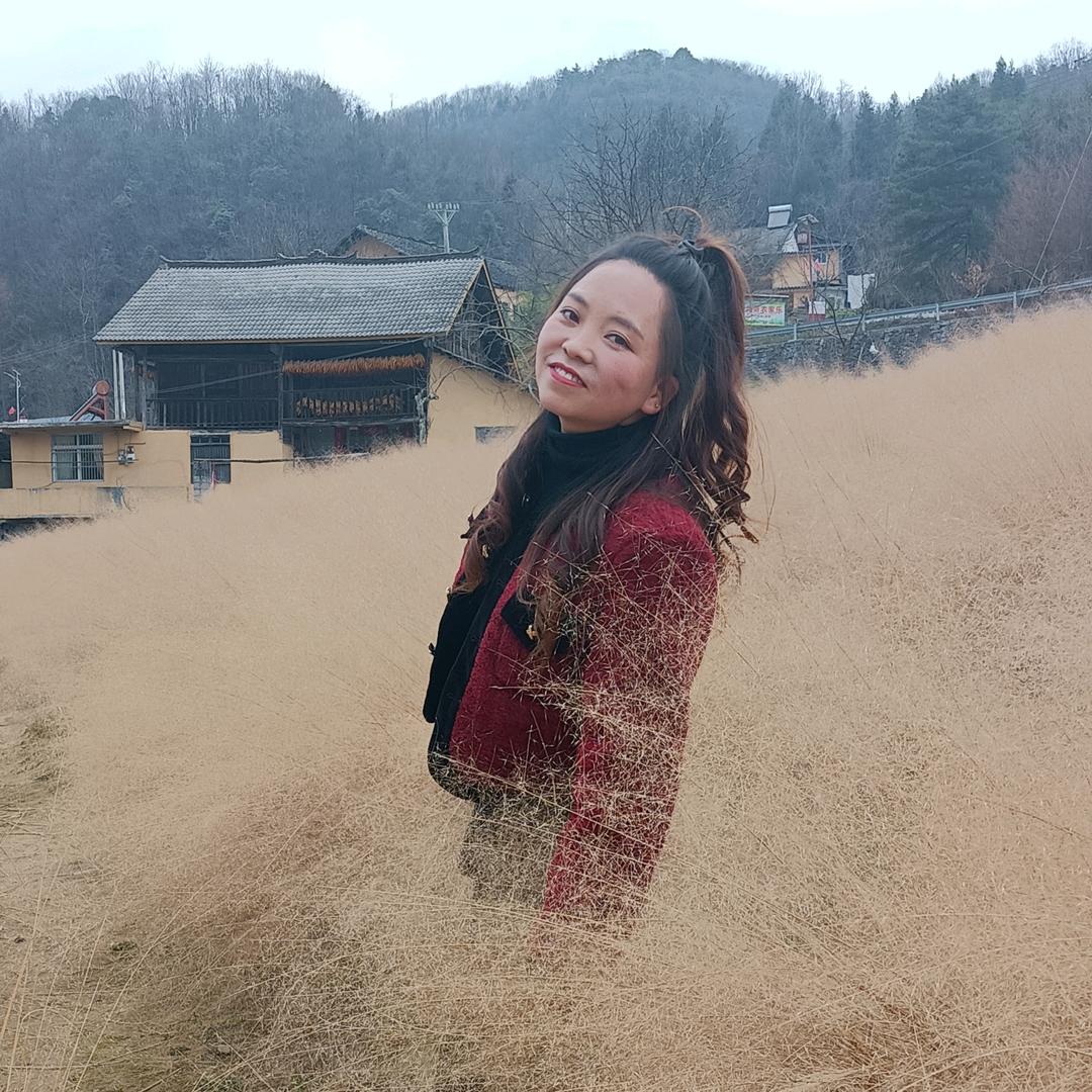 玲宝🎤（经典老歌）