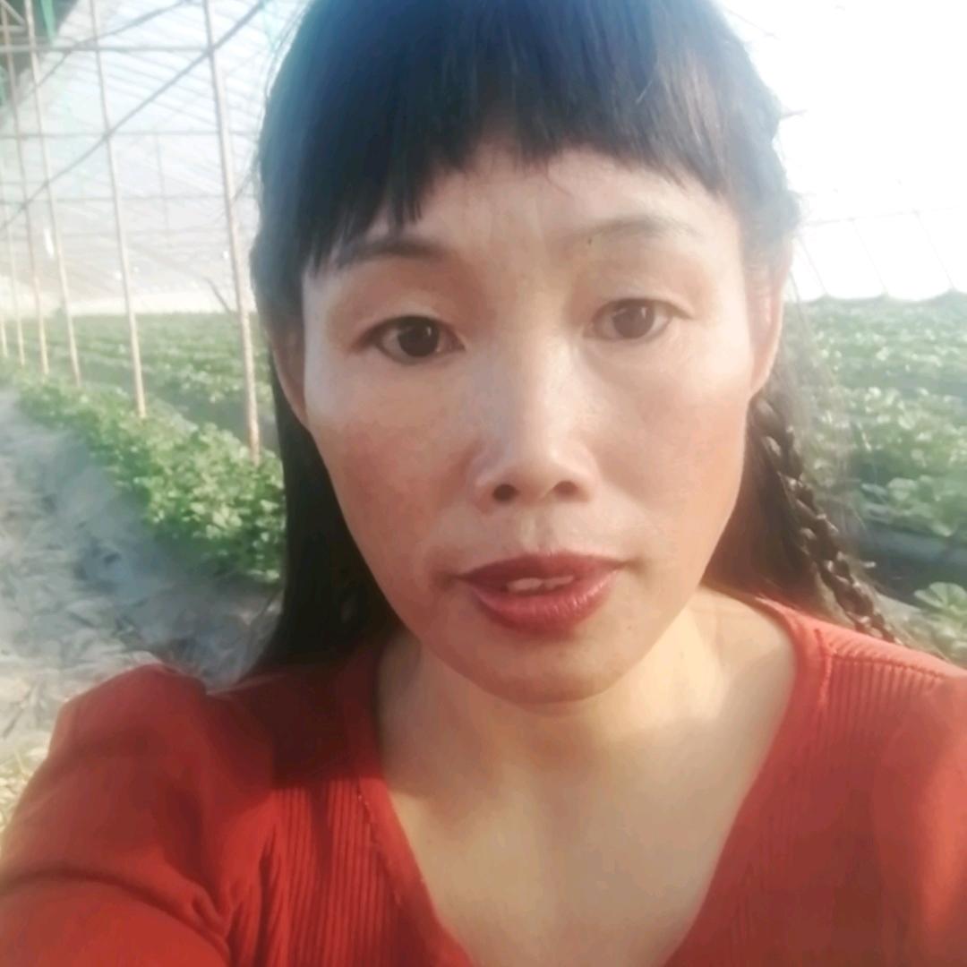 果果娘