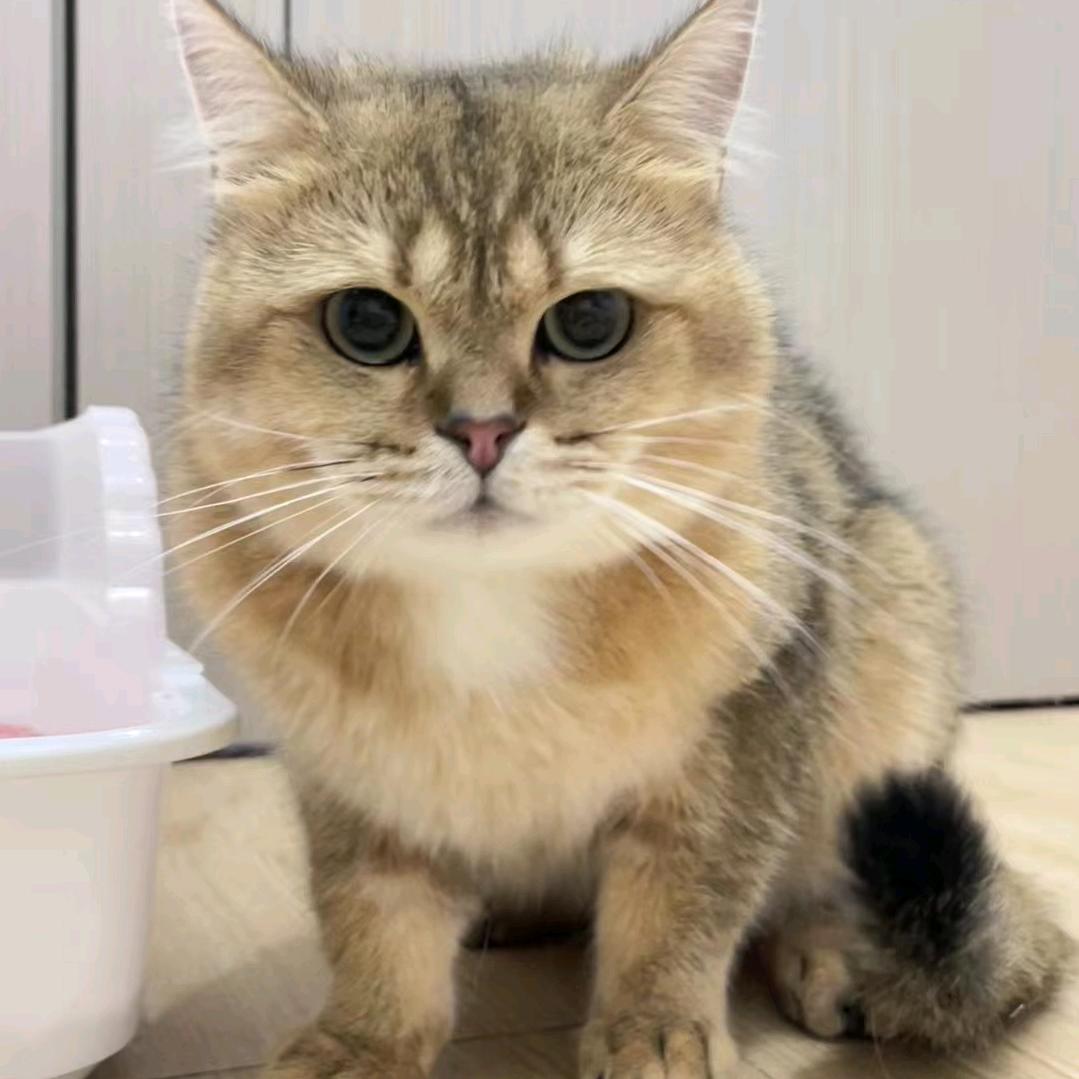 小亿