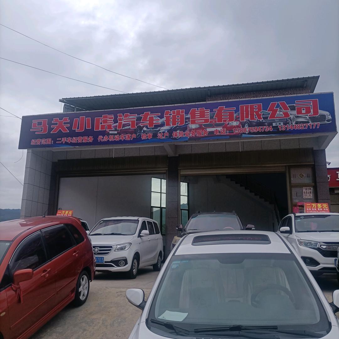 小虎玩车