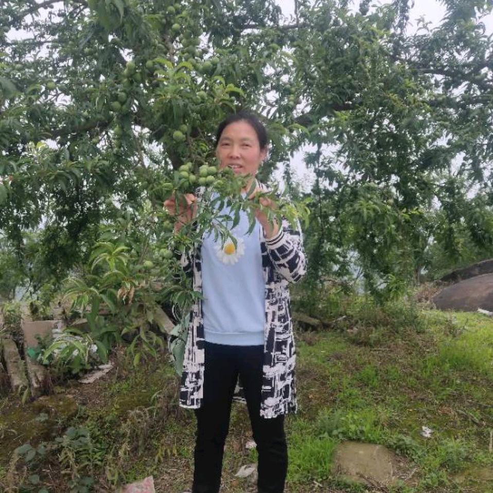 邻水县欧榆房屋信息咨询服务部