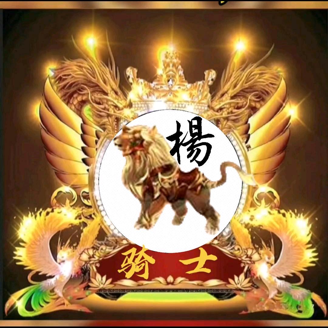 骑    士