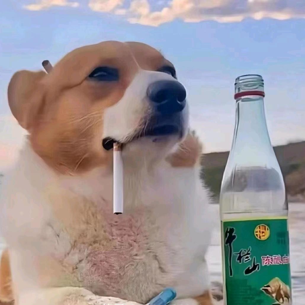 顾念