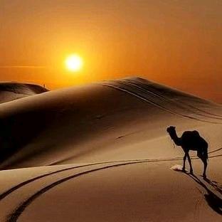 dy02l3u2v835顺其自然