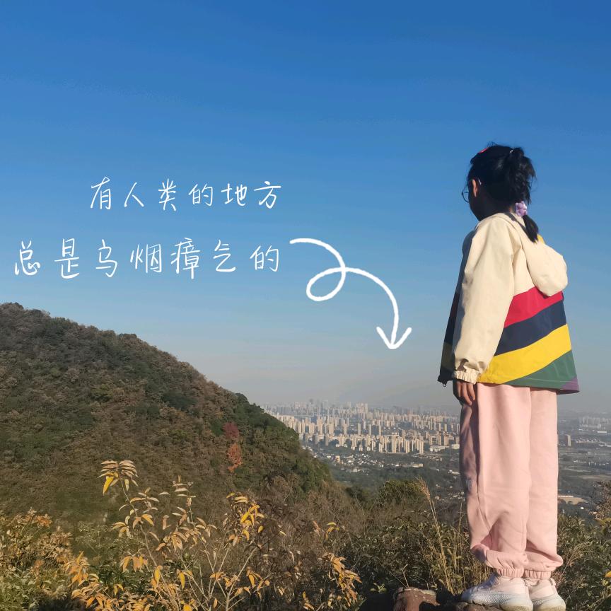 好妹妹🐝
