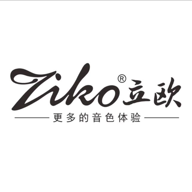 Ziko立欧琴弦