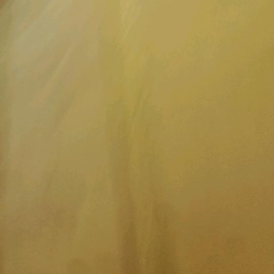 用户霸气女王小号39764