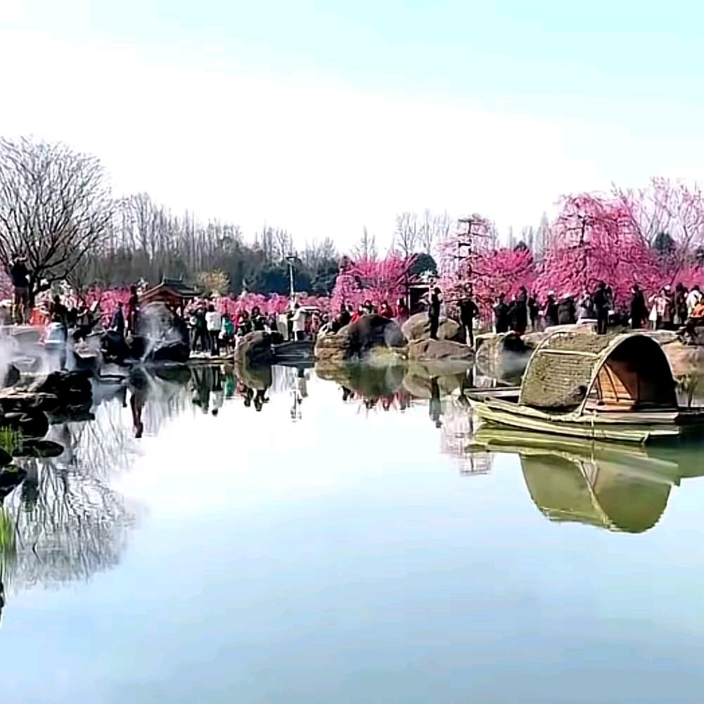 重庆哥们儿