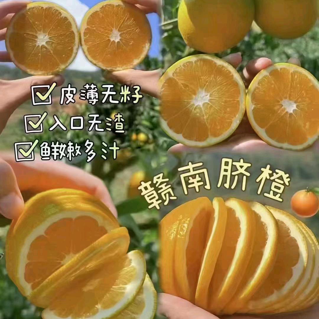 东笙