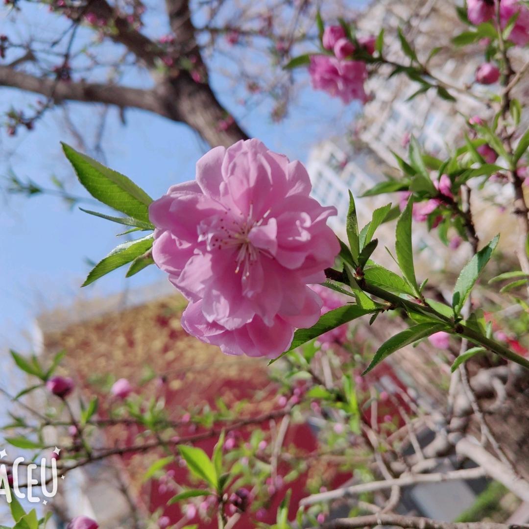 ⛅了如指张🤗