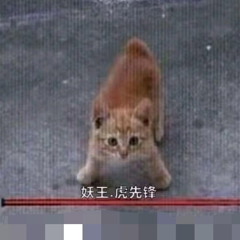 天才小能猫🐱