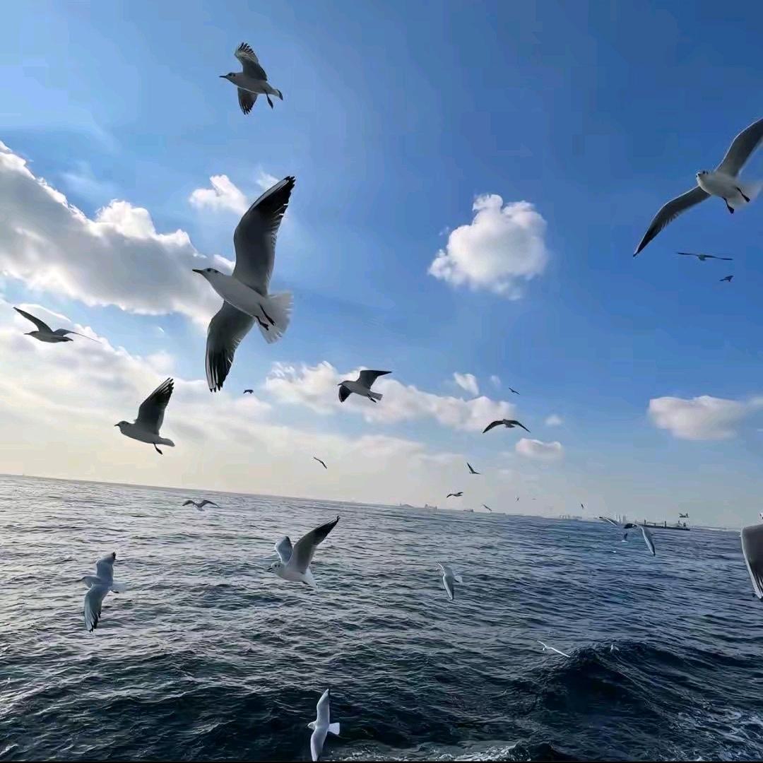 我爱❤️大Taotao