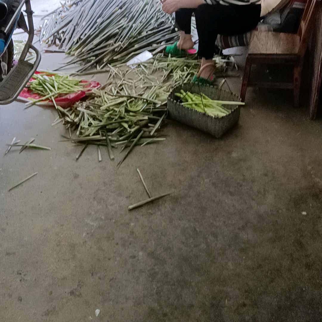 夏天🍉