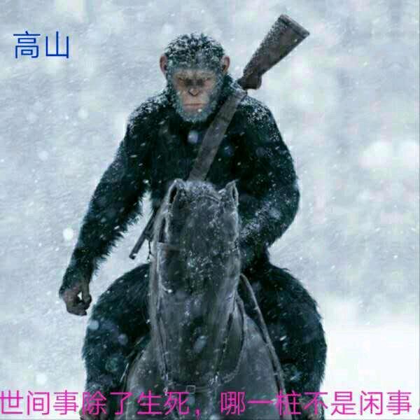 刘建权严选优品店