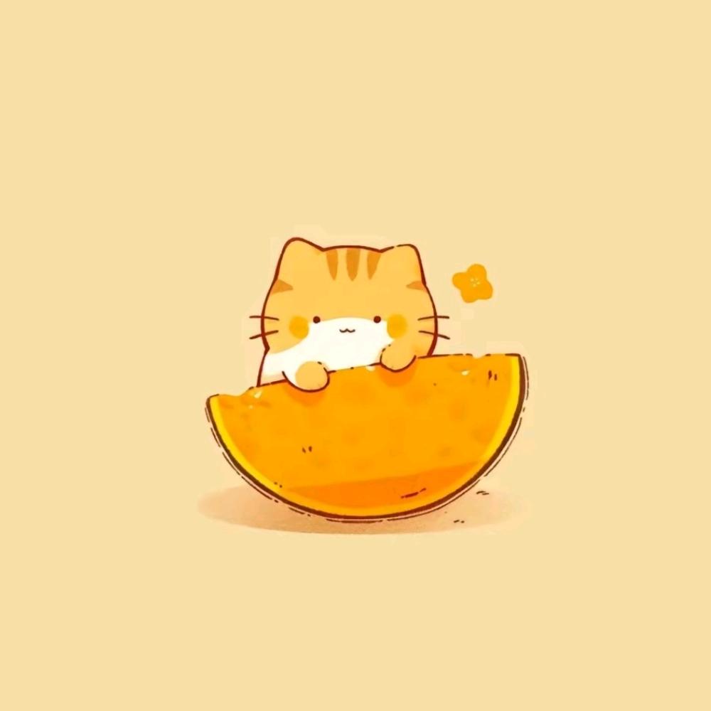 大笨蛋的猫