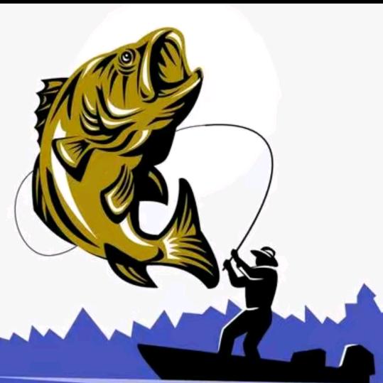 鲫鱼王子（小陈）