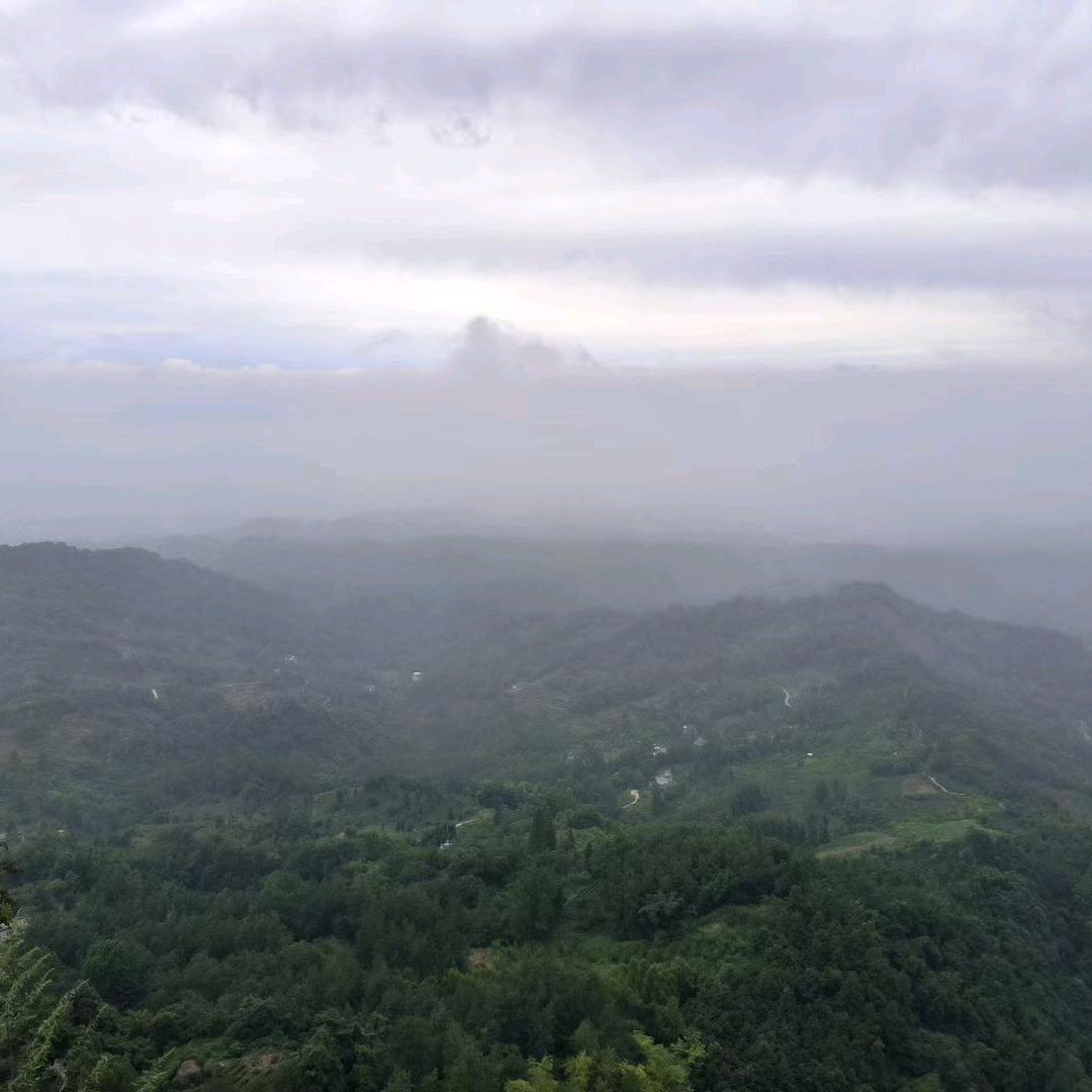 开心可爱的胖子