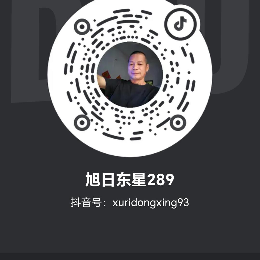 旭日东星289