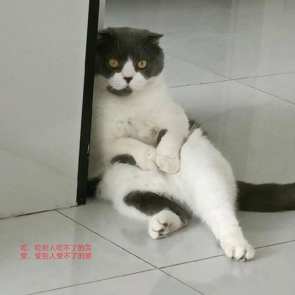 清真👉麦来香煎饼店👈16中店