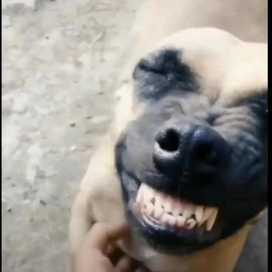 郑保华头像