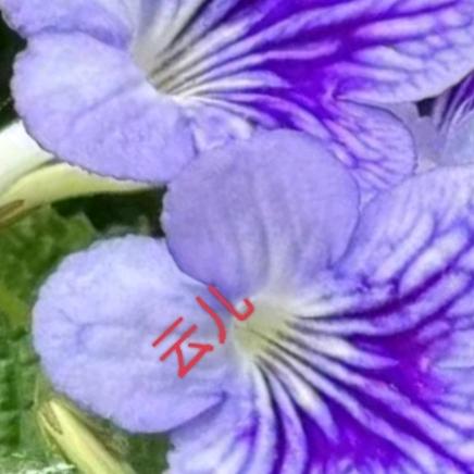 哈喽，云儿(拒绝私聊)