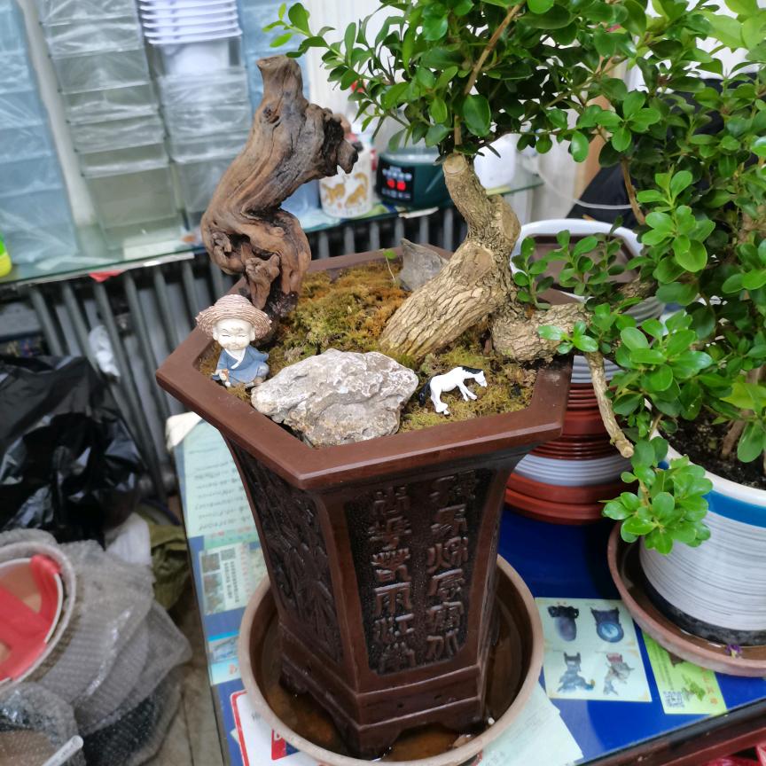 一切都在不言中