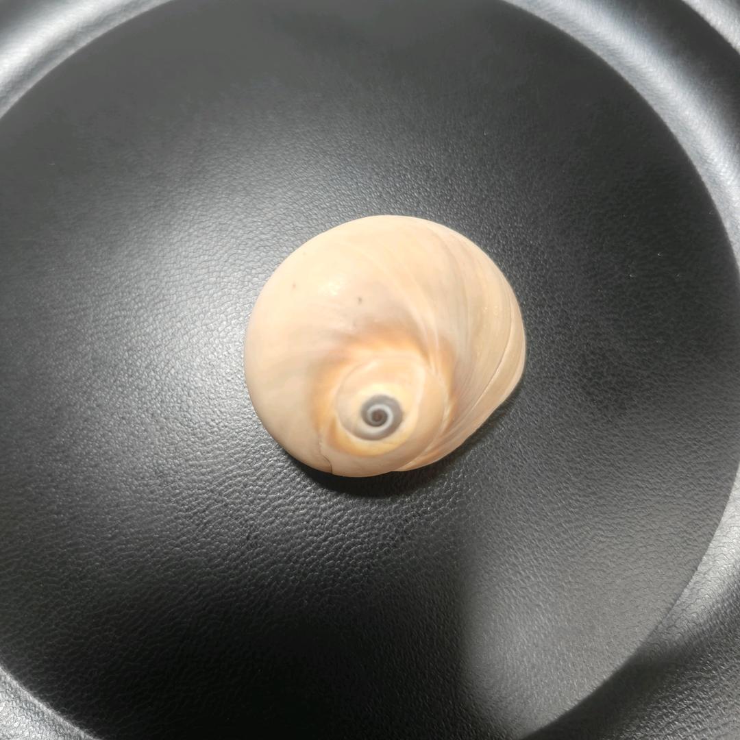 码农三十五（卓信）