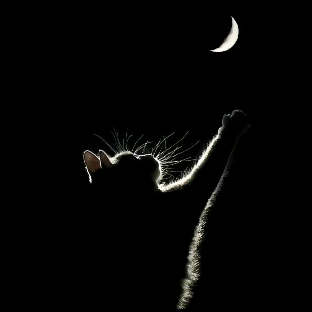 王者荣耀—小甜甜下饭菜（养成系）