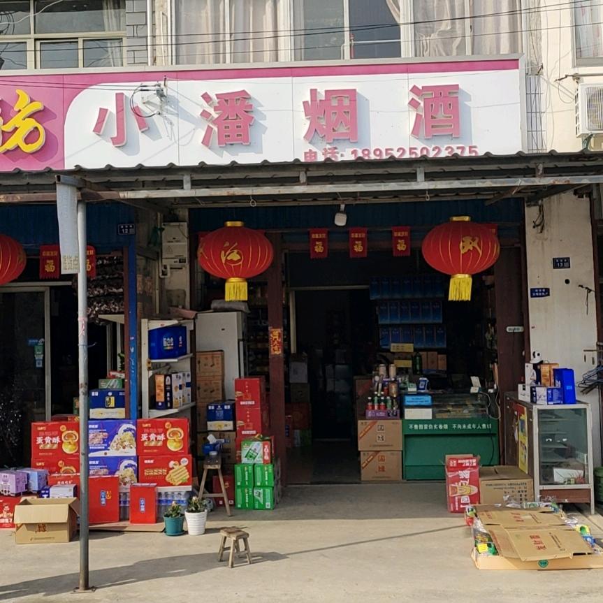 清清楚楚实话实说