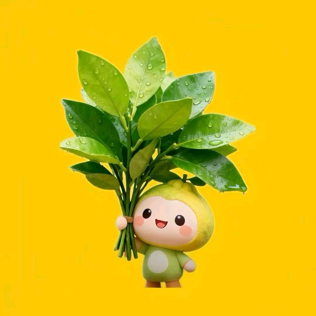 🇨🇳文屹传媒🇨🇳