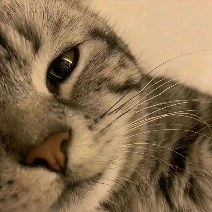 嫂子你给我哥喂点安眠药吧我想你想的不行了