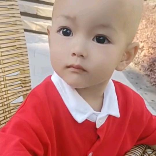 小辰子