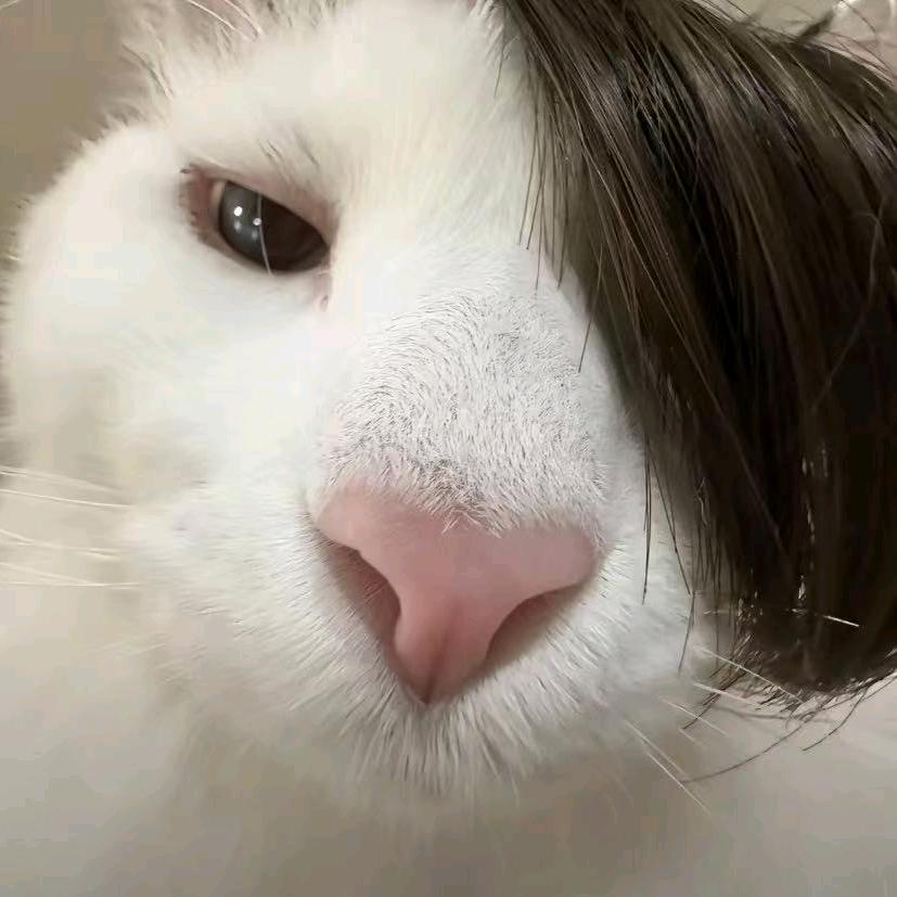 aa..