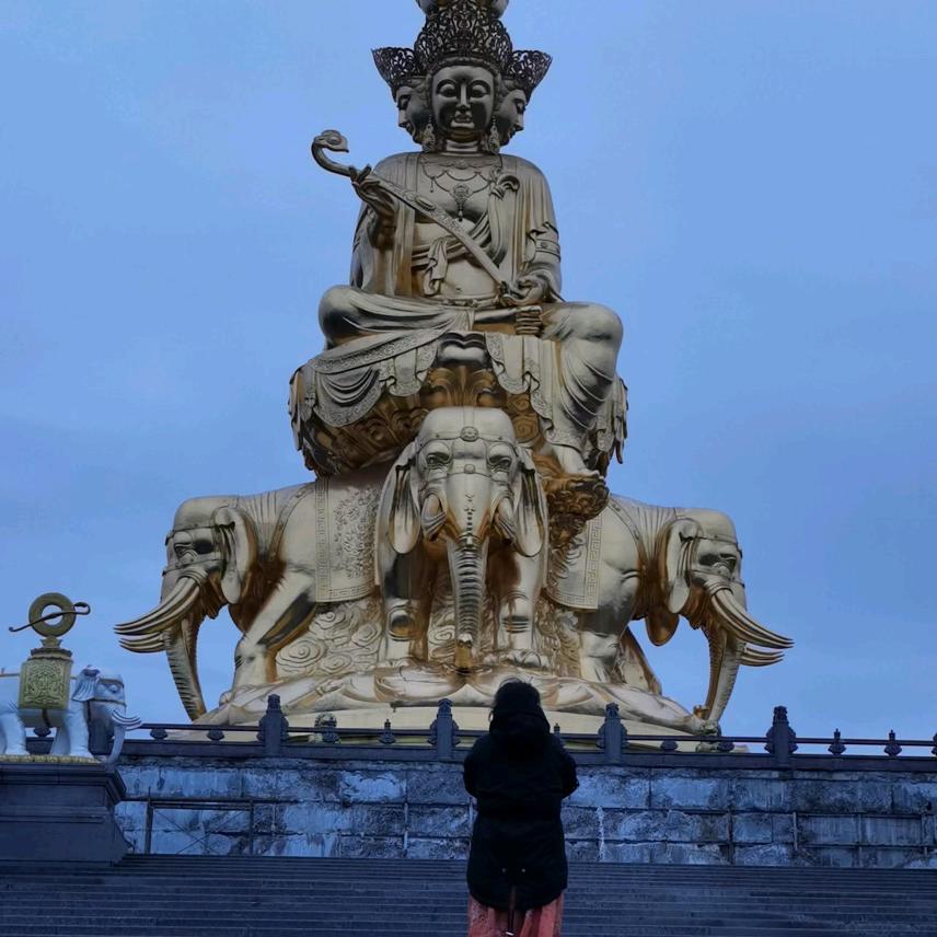 乡村的父母