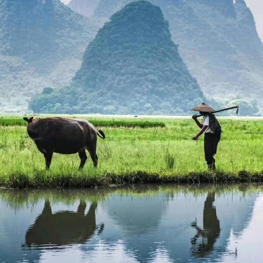 人在江湖