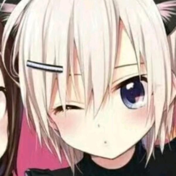 宜宜域宜