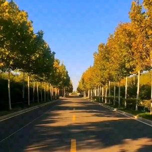 山东焱铭餐饮管理有限公司