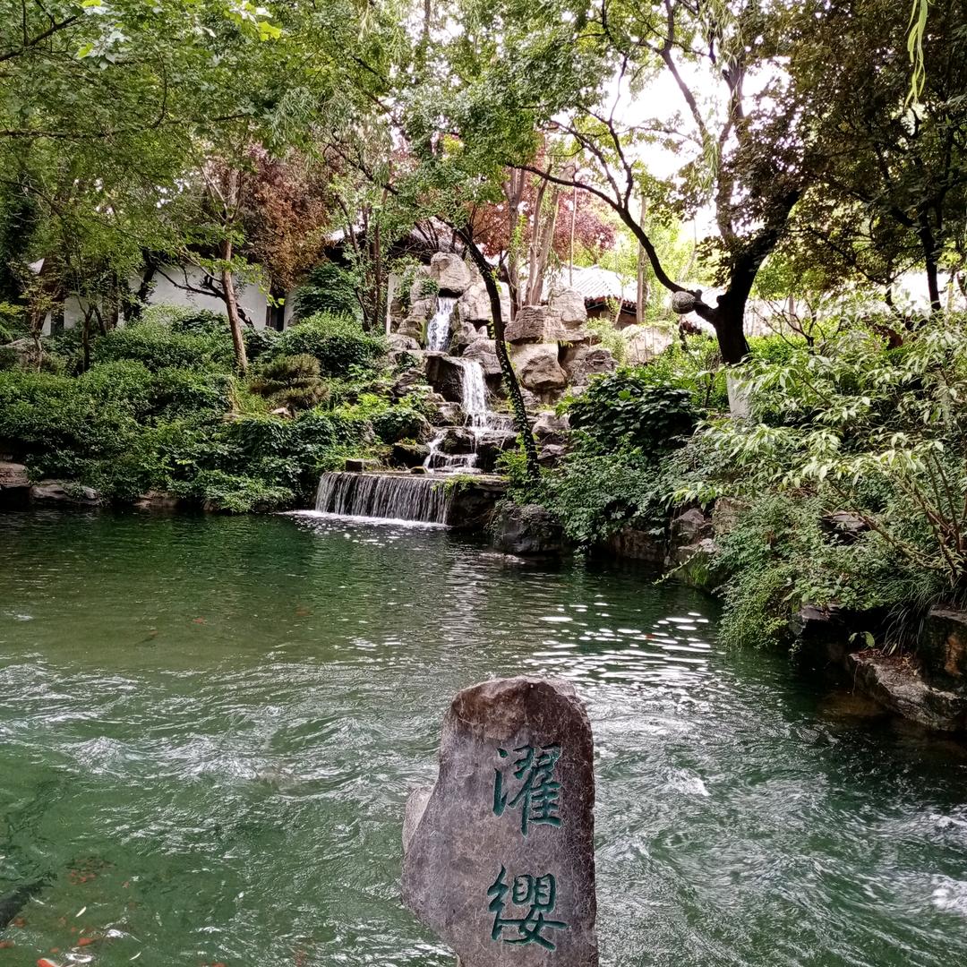 9902336981