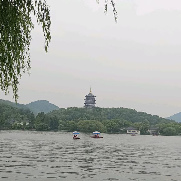 媛媛