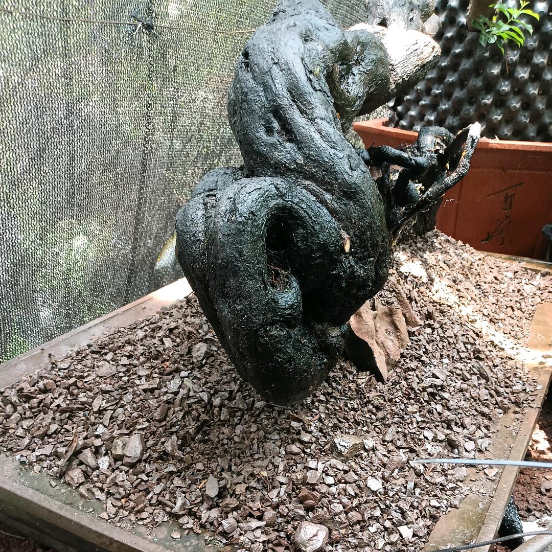 缘@弹《铭桩》林园w…………￥