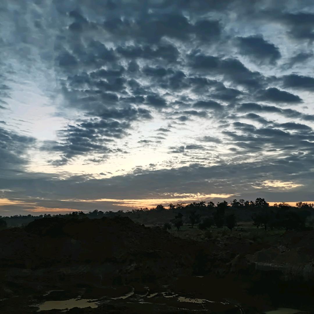 @是你的陈先生吗？