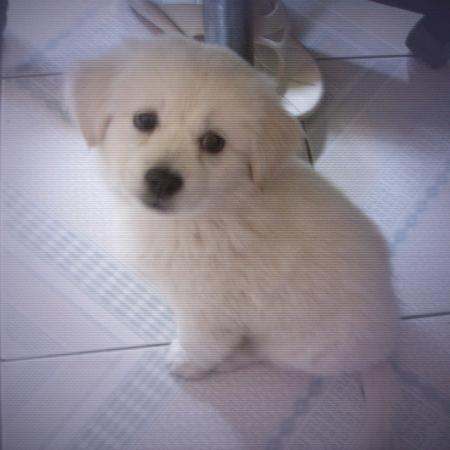 -     幸運點         🍑