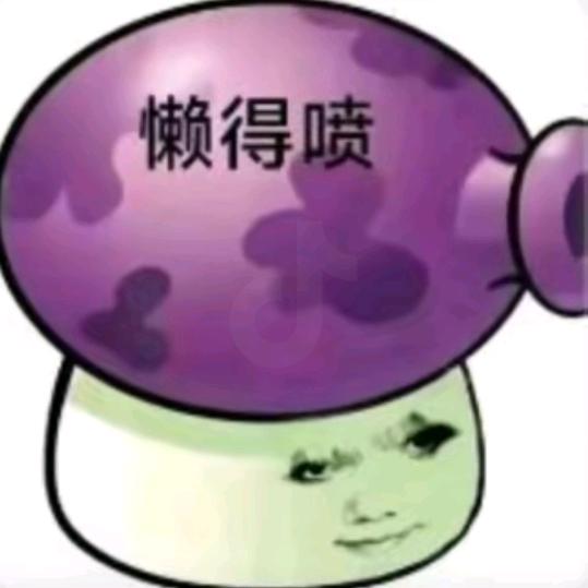 鱼是一条权威女子