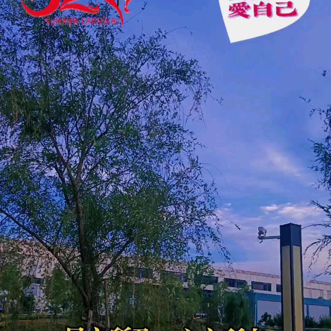 ♣︎♣︎晴儿！！