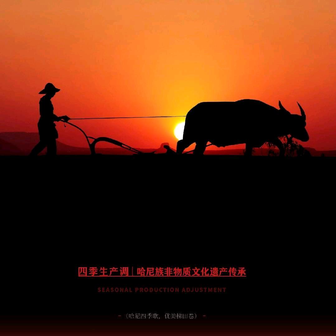 豪尼双哥唠