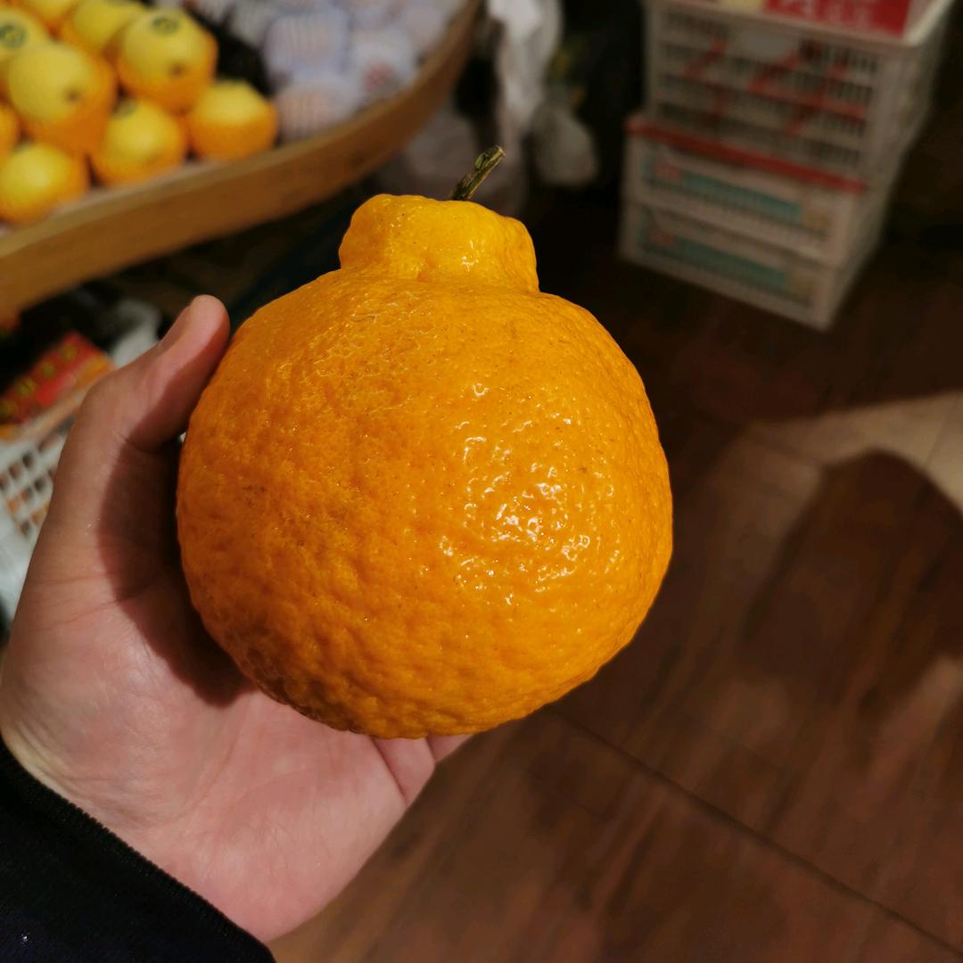 束轩食品店