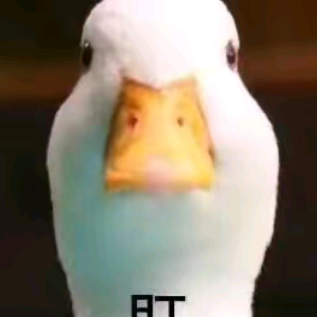 左零右火，雷公助我