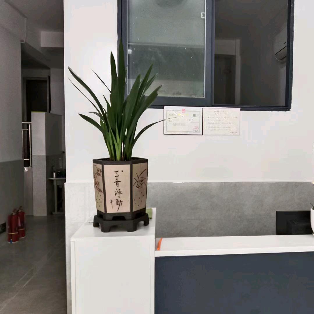 创新素质扩展训练营