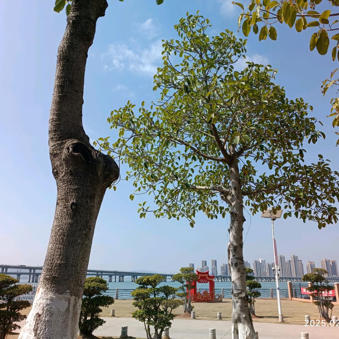 哈哈哈哈哈哈哈