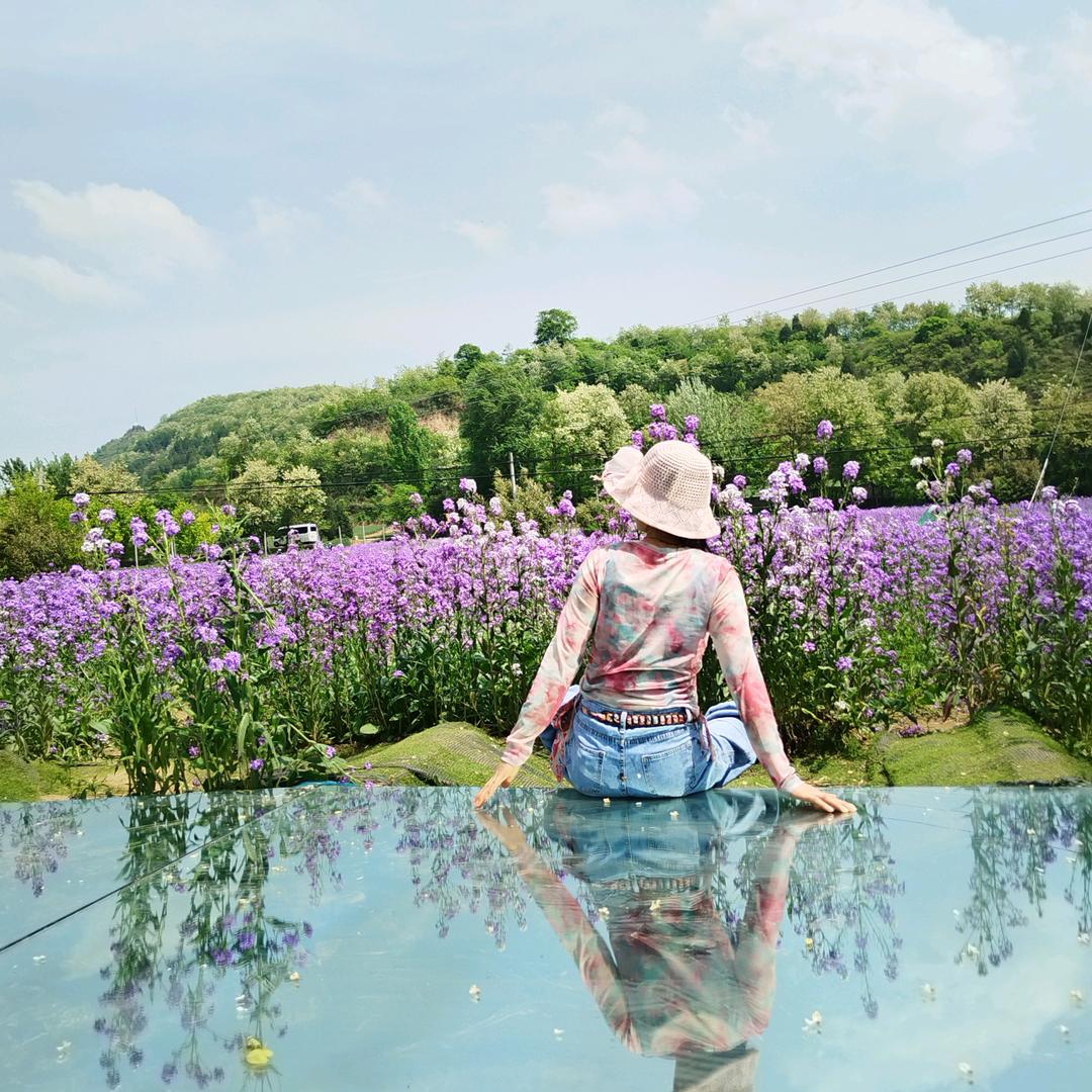 花开因为花落过